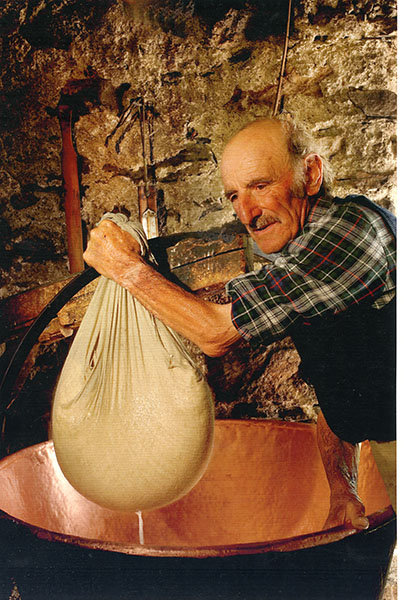 Cattaneo palmino5