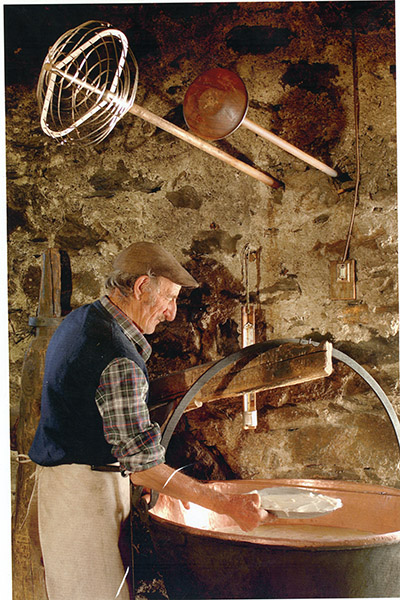 Cattaneo palmino6