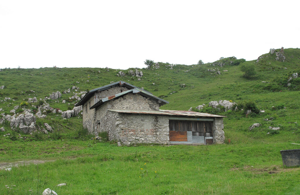 Locatelli carlo e antonio4