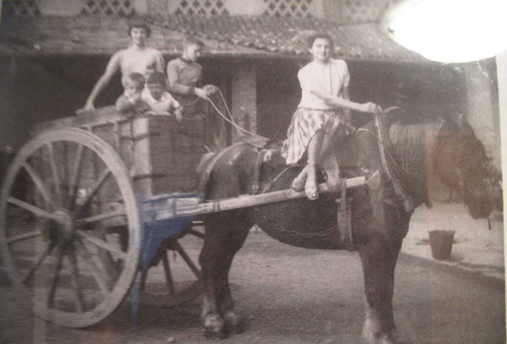 Testori antonio2