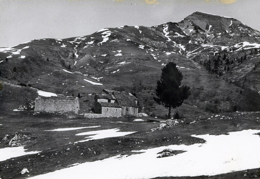 Vitali pierangela3
