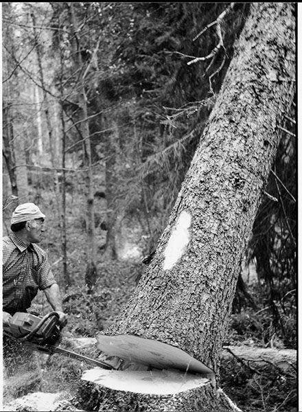 CORENTI