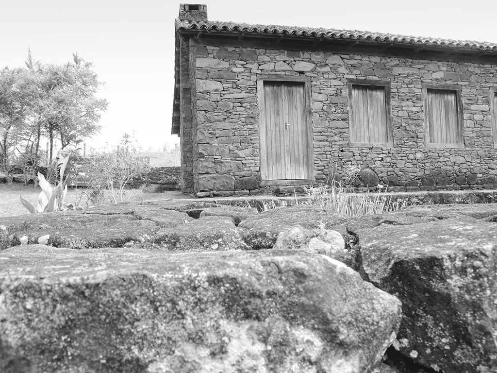 gava 5