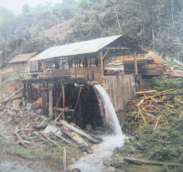 maestri entico4
