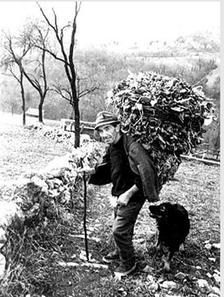 Layout 1